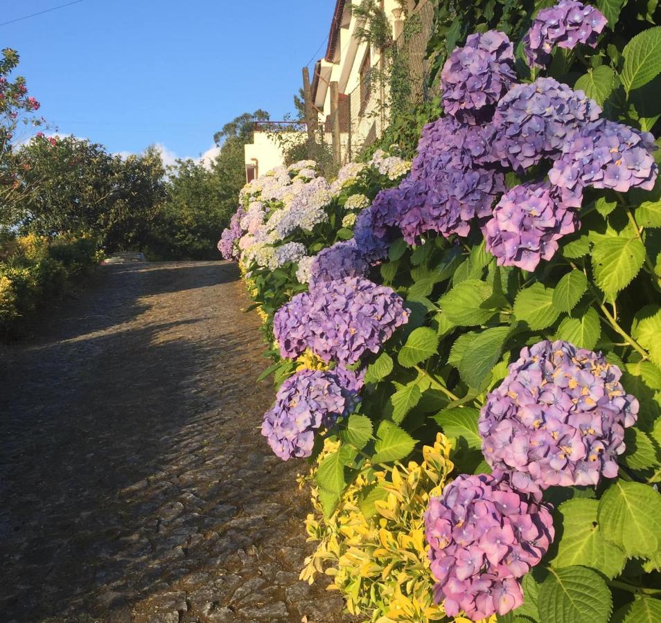 Villa Bouro - Breathtaking Scenery Near Geres Terras de Bouro Exterior photo